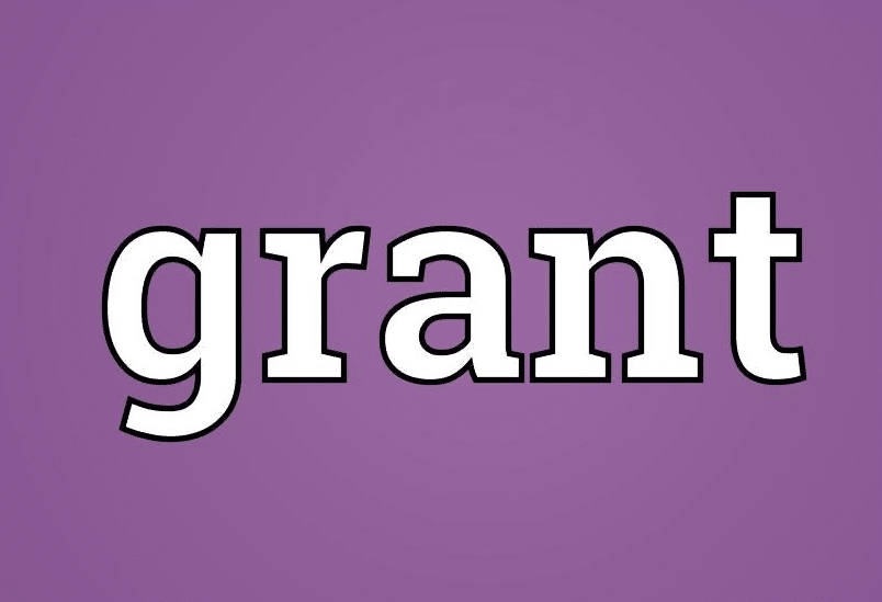 معنى grant بالانجليزي