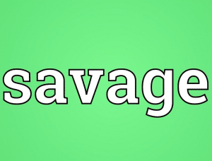 معنى كلمة savage بالانجليزي والعربي