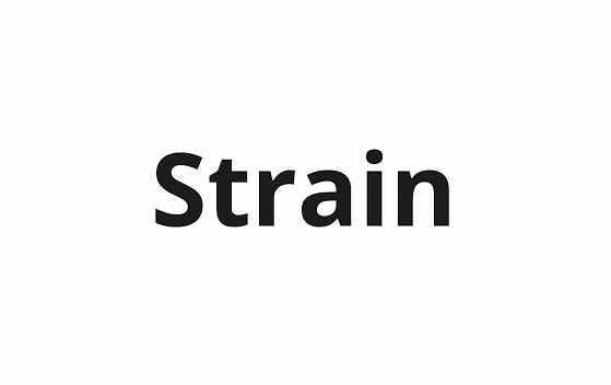 معنى كلمة strain بالانجليزي والعربي