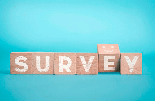 معنى وترجمة Survey بالانجليزي