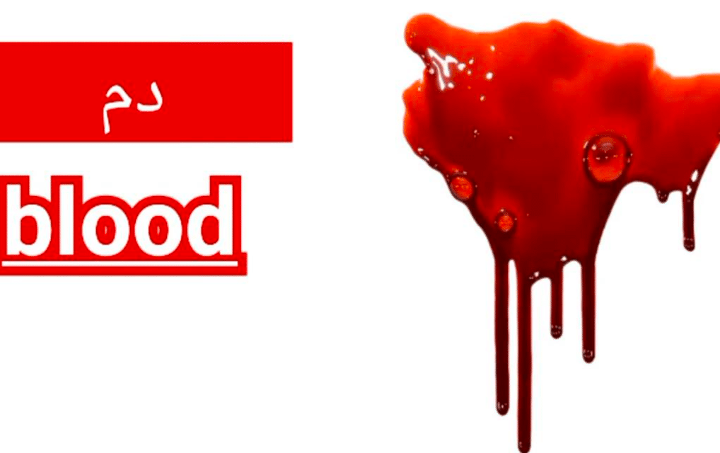 معنى كلمة bloody بالانجليزي والعربي