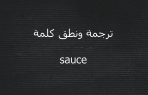 معنى وترجمة كلمة sauce بالعربي والانجليزي