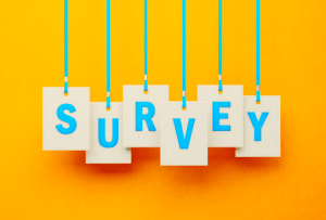 معنى وترجمة Survey بالانجليزي