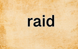 معنى كلمة raid بالانجليزي والعربي