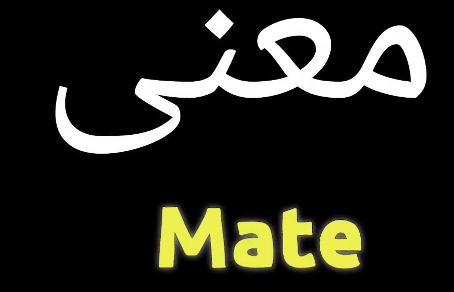 معنى وترجمة كلمة mate بالعربي