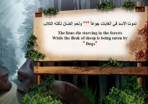 اجمل أبيات الشعر باللغة الإنجليزية مترجمة للعربية
