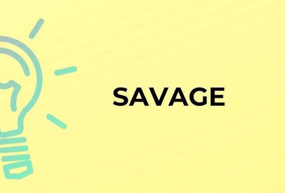 معنى كلمة savage بالانجليزي والعربي