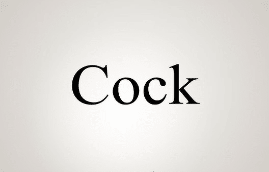 معنى وترجمة cock بالانجليزي