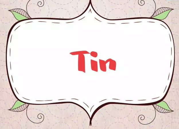 معنى tin بالانجليزي والعربي
