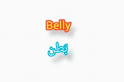 معنى belly بالانجليزي والعربي