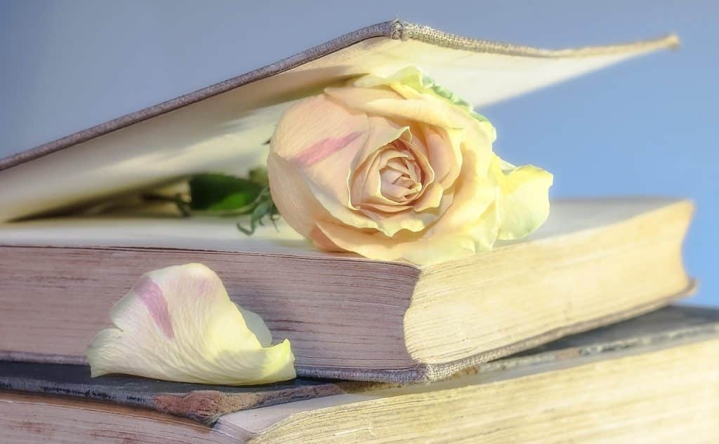 شعر عتاب فصيح